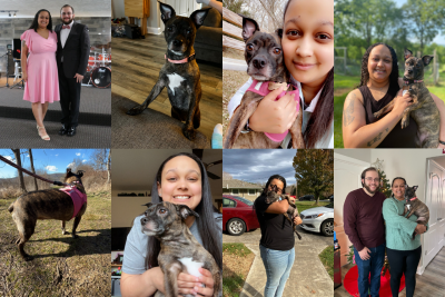 A collage of photos of Bre Lucas, her husband Isaac, and her dog Venus.